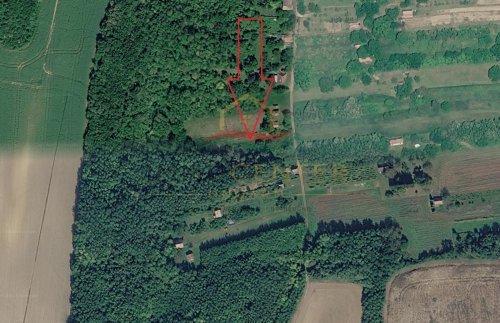 (B-A) Der ideale Rückzugsort in den Weinbergen des Zalatales (CM0488)