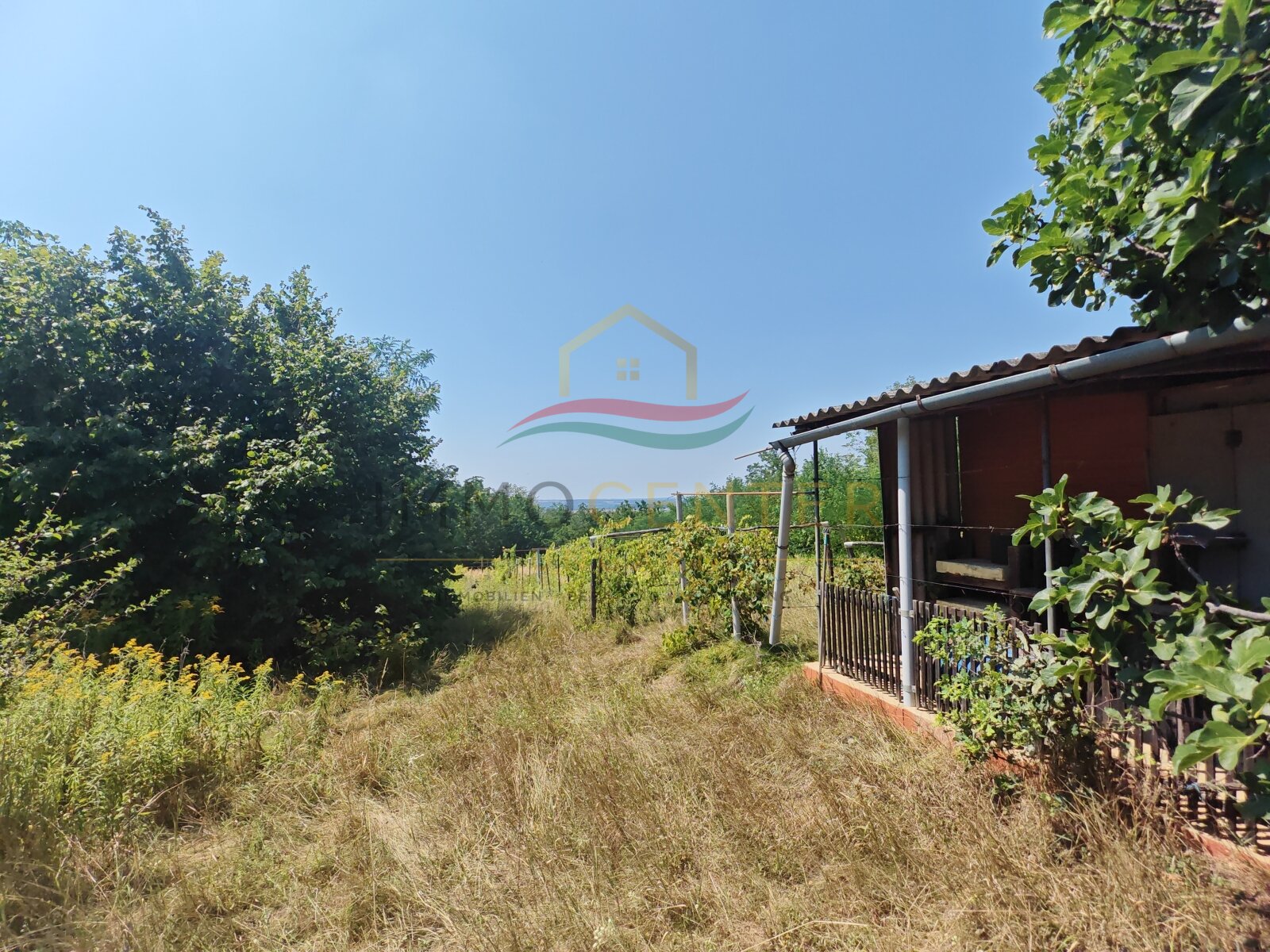 (B-A) Der ideale Rückzugsort in den Weinbergen des Zalatales