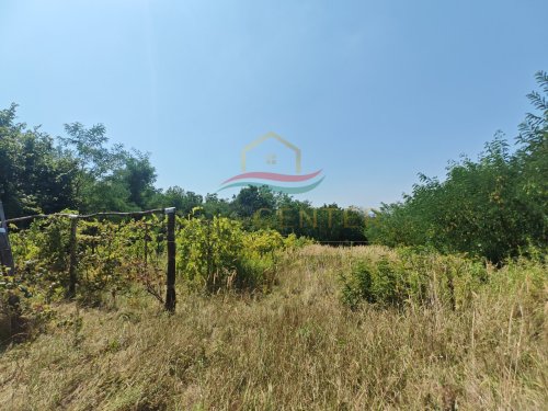 (B-A) Der ideale Rückzugsort in den Weinbergen des Zalatales (CM0488)