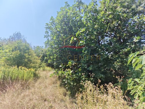 (B-A) Der ideale Rückzugsort in den Weinbergen des Zalatales (CM0488)