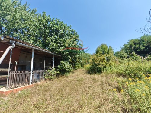 (B-A) Der ideale Rückzugsort in den Weinbergen des Zalatales (CM0488)