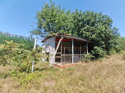 (B-A) Der ideale Rückzugsort in den Weinbergen des Zalatales (CM0488)