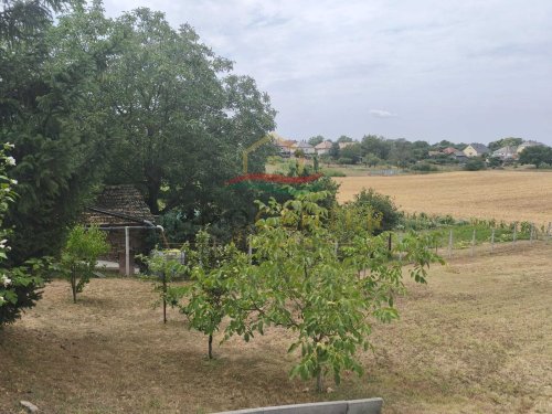 (AAA) Geräumiges Einfamilienhaus in einer ruhigen, grünen Wohngegend (KK1981)