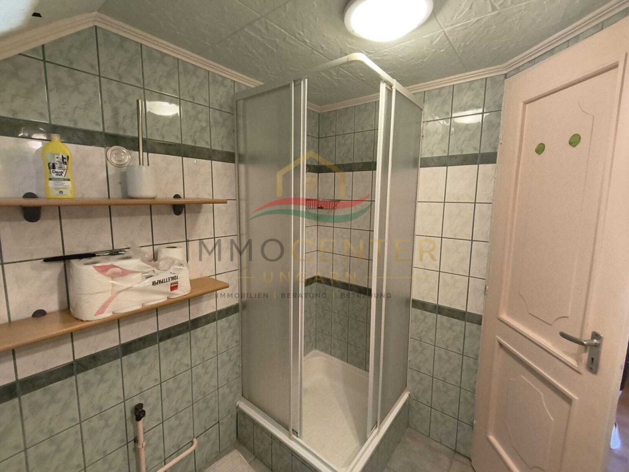 (AAA) Geräumiges Einfamilienhaus+ Einliegerwohnung in einer ruhigen, grünen Wohngegend (KK1981)