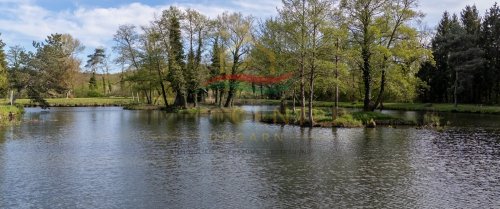 (BAA) Außergewöhnliches Landgut mit privatem Fischteich, großzügigem Grundstück und einzigartiger Naturlag (33916)