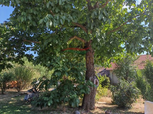 (BBA) Authentisch wohnen in Ungarn – Bauernhaus mit Charakter bei Hévíz (CM0411)
