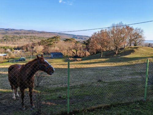 (AAA) Romantisches Reetdachhaus mit Balaton-Panorama (CM185-6)