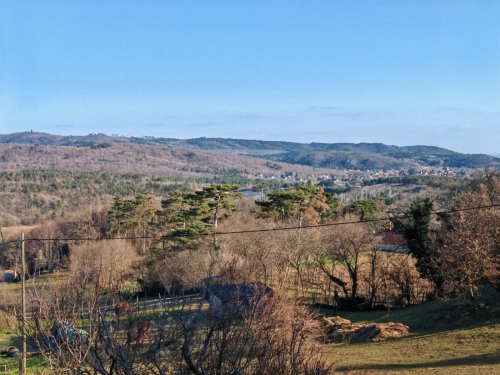 (AAA) Romantisches Reetdachhaus mit Balaton-Panorama (CM185-6)
