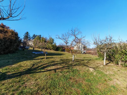 (AAA) Romantisches Reetdachhaus mit Balaton-Panorama (CM185-6)