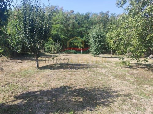 (BAA) Koffer packen und einziehen – ruhiges Landhaus mit großem Garten und Wald am Grundstücksende (Lux020)