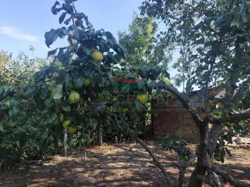 (BAA) Koffer packen und einziehen – ruhiges Landhaus mit großem Garten und Wald am Grundstücksende (Lux020)