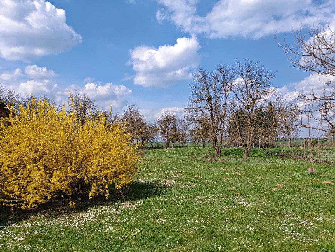 Ebenerdiges &amp; breites Baugrundstück in friedlicher Lage mit Brunnen
