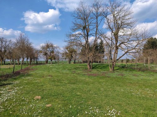 Ebenerdiges &amp; breites Baugrundstück in friedlicher Lage mit Brunnen (CM0818-2)