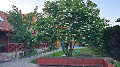 (AAA) Ungarn - nähe Hévíz - 3 Zimmer DG Wohnung mit Balkon (KK0831)