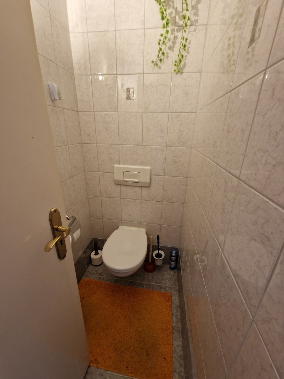 (AAB) Großes Landhaus mit Pool in ruhiger Lage bei Heviz (HCM306-4) — Vendég WC a földszinten