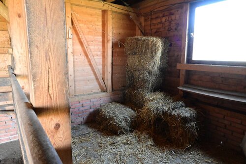 (AAAB) Wunderschönes ungarisches Landhaus mit großem Grundstück und Pferdeboxen (HCM307-5)