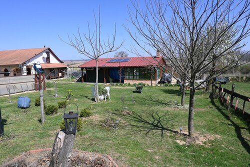 (AAAB) Wunderschönes ungarisches Landhaus mit großem Grundstück und Pferdeboxen (HCM307-5)