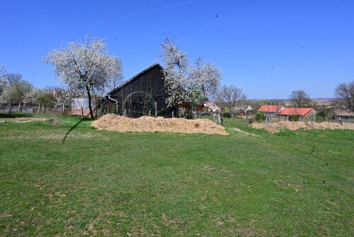 (AAAB) Wunderschönes ungarisches Landhaus mit großem Grundstück und Pferdeboxen (HCM307-5)