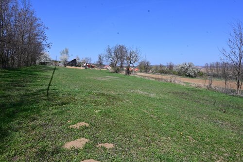 (AAAB) Wunderschönes ungarisches Landhaus mit großem Grundstück und Pferdeboxen (HCM307-5)
