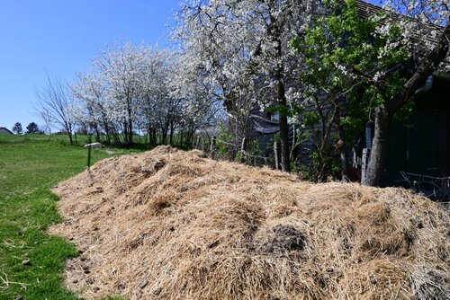 (AAAB) Wunderschönes ungarisches Landhaus mit großem Grundstück und Pferdeboxen (HCM307-5)