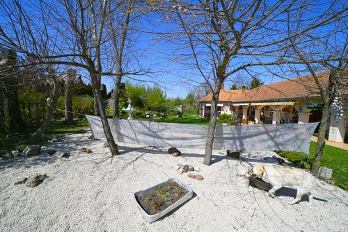 (AAAB) Wunderschönes ungarisches Landhaus mit großem Grundstück und Pferdeboxen (HCM307-5)