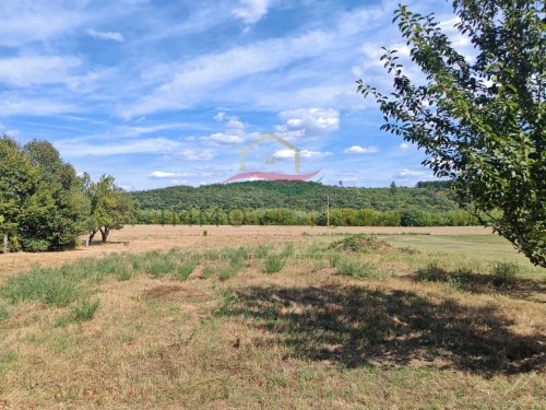 (BAA) Naturnahes Landhaus mit Pool und großem Grundstück südlich des Balatons (CM8697)