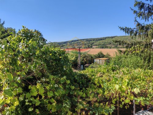 (BBA) Romantisches Weinberghaus bei Héviz (CM208)
