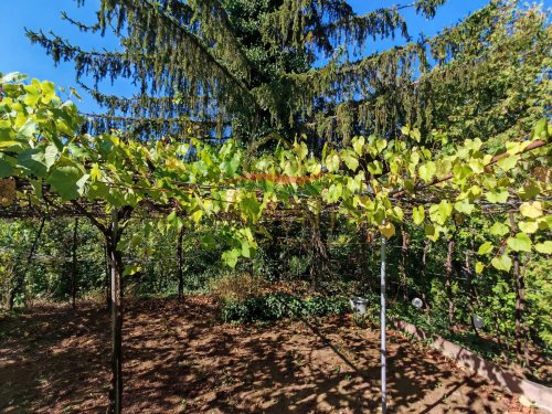 (BBA) Romantisches Weinberghaus bei Héviz (CM208)