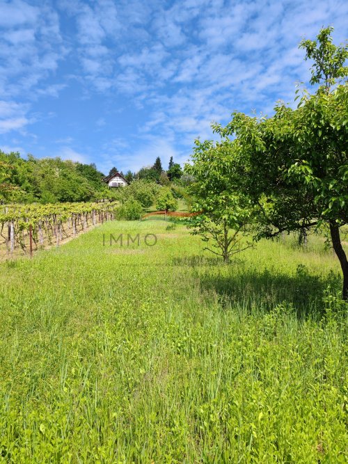 (BBA) Romantisches Weinberghaus bei Héviz (CM208)