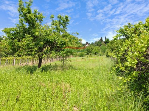 (BBA) Romantisches Weinberghaus bei Héviz (CM208)