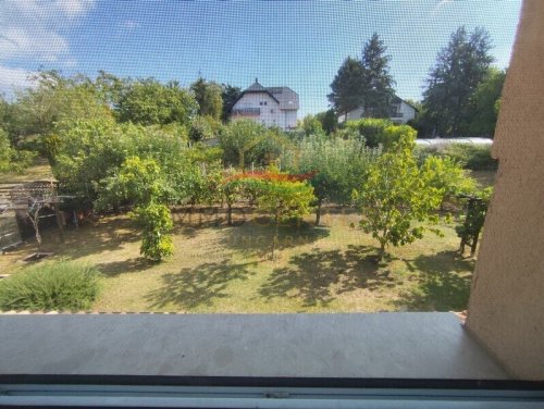 Mediterranes Lebensgefühl in Balatongyörök – Palmengarten, Wintergarten und separater Gästebereich (Lux021)