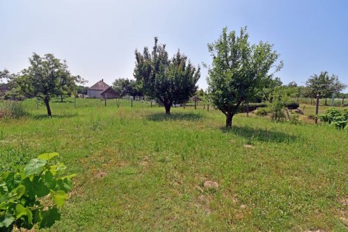 (BAA) Renoviertes Landhaus nur 15 km südlich vom Balaton in ruhiger Lage (FER1606)