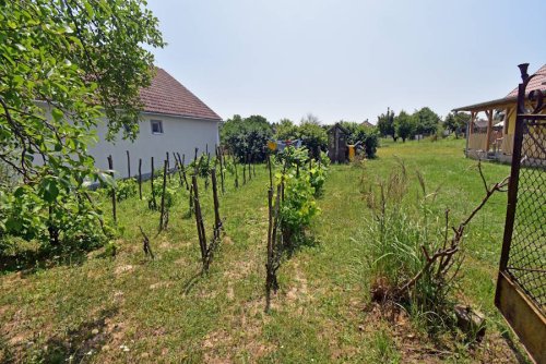 (BAA) Renoviertes Landhaus nur 15 km südlich vom Balaton in ruhiger Lage (FER1606)
