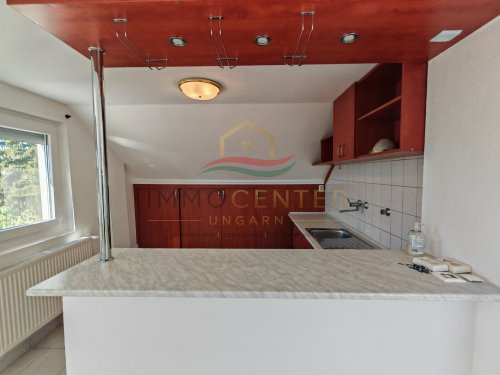 (AAA) Großes Landhaus mit Apartment &amp; viel Staufläche, auch ideal für Handwerk oder Büro (HCM217-3) — Apartment