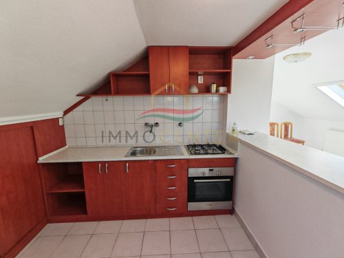 (AAA) Großes Landhaus mit Apartment &amp; viel Staufläche, auch ideal für Handwerk oder Büro (HCM217-3) — Apartment
