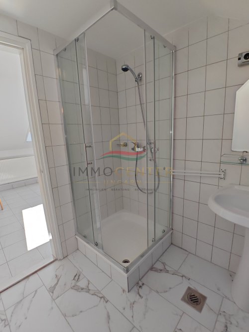 (AAA) Großes Landhaus mit Apartment &amp; viel Staufläche, auch ideal für Handwerk oder Büro (HCM217-3) — Apartment