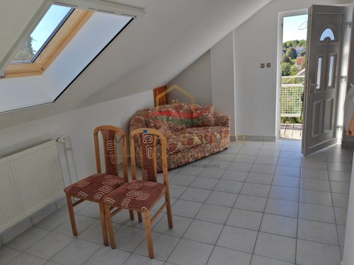 (AAA) Großes Landhaus mit Apartment &amp; viel Staufläche, auch ideal für Handwerk oder Büro (HCM217-3) — Apartment