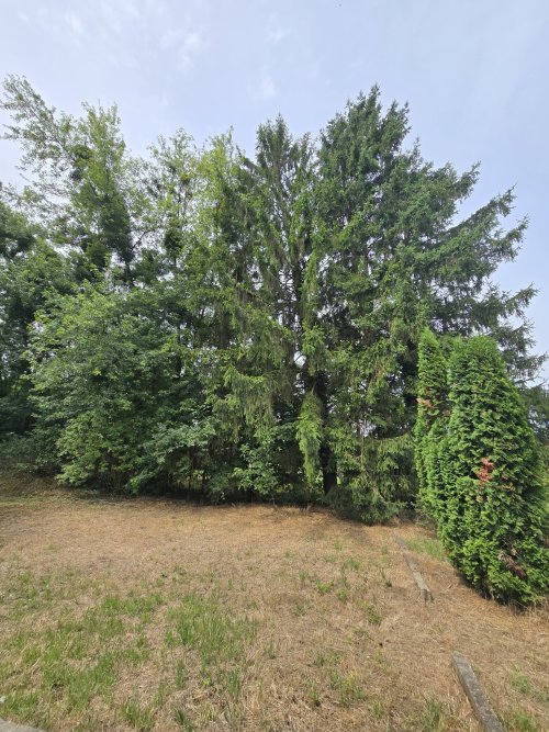 (BBA) Großes Familienhaus in schöner &amp; ruhiger Lage (KK005-2)