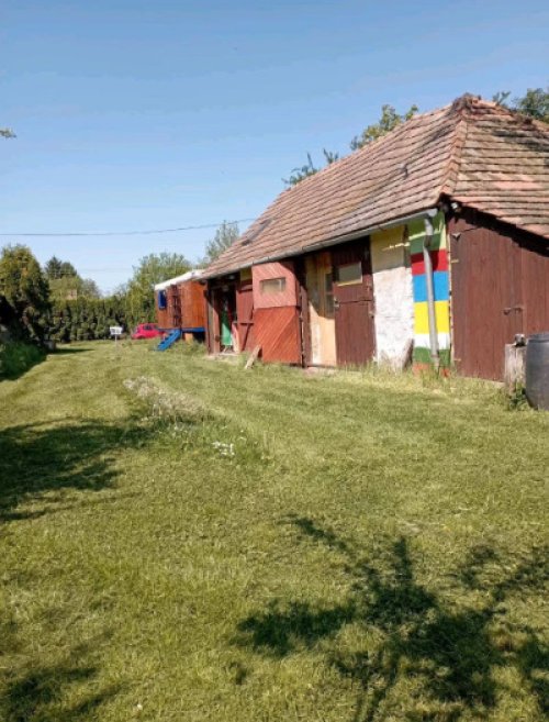 (B-A) Eingewachsenes Baugrundstück mit Werkstatt, Aufenthaltsraum und altem Baumbestand u (CM0827-2)
