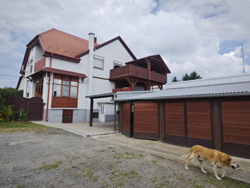(AAAB) Schreinerei am Balaton mit vollen Auftragsbüchern &amp; Wohnhaus (CM125-2)