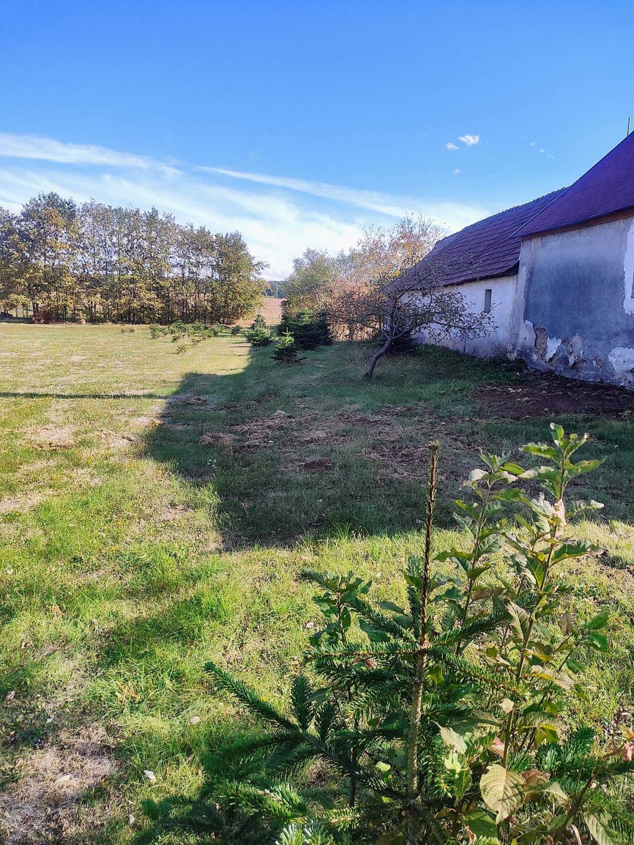 (AAA) Großzügiges und komfortables Landhaus in ruhiger Lage bei Österreich (ANZ1602)