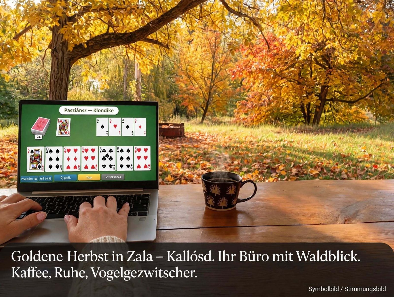 (BAA) Ehemalige Jagdhaus-Pinze in himmlischer Ruhe, ideal für Aussteiger, kein Mobilfunk (CM1027)